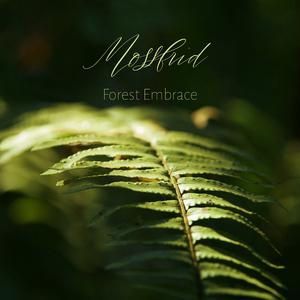 国产又爽❌又黄❌游戏
